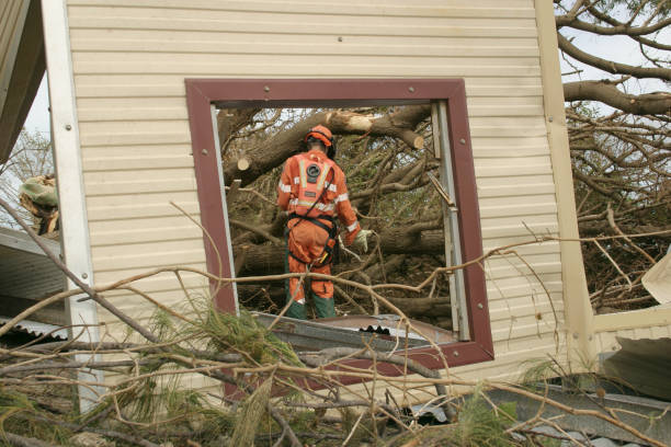 How Our Tree Care Process Works  in  Coeur Dalene, ID